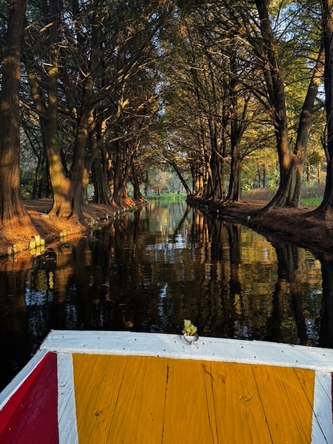 The floating gardens